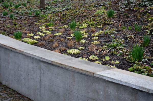 Concrete Wall Construction in Winston Salem