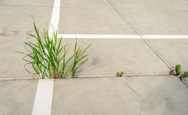 Concrete Parking Installation in Winston Salem
