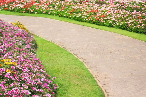 Concrete Walkway Service in Winston Salem