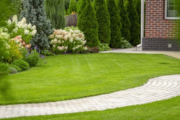 Landscape Walkway Installation in Winston Salem